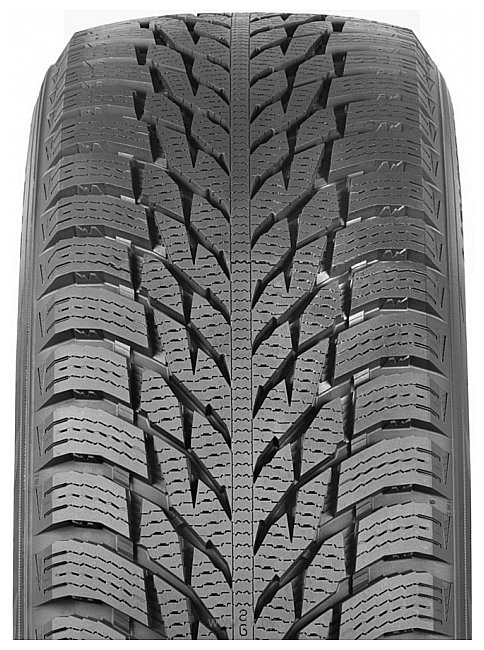 Фотографии Ikon Tyres Hakkapeliitta R3 195/65 R15 95 R