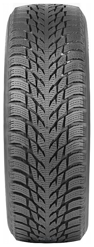 Фотографии Ikon Tyres Hakkapeliitta R3 195/65 R15 95 R