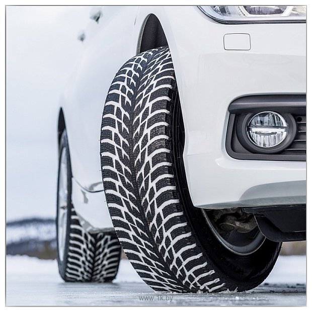 Фотографии Ikon Tyres Hakkapeliitta R3 195/65 R15 95 R