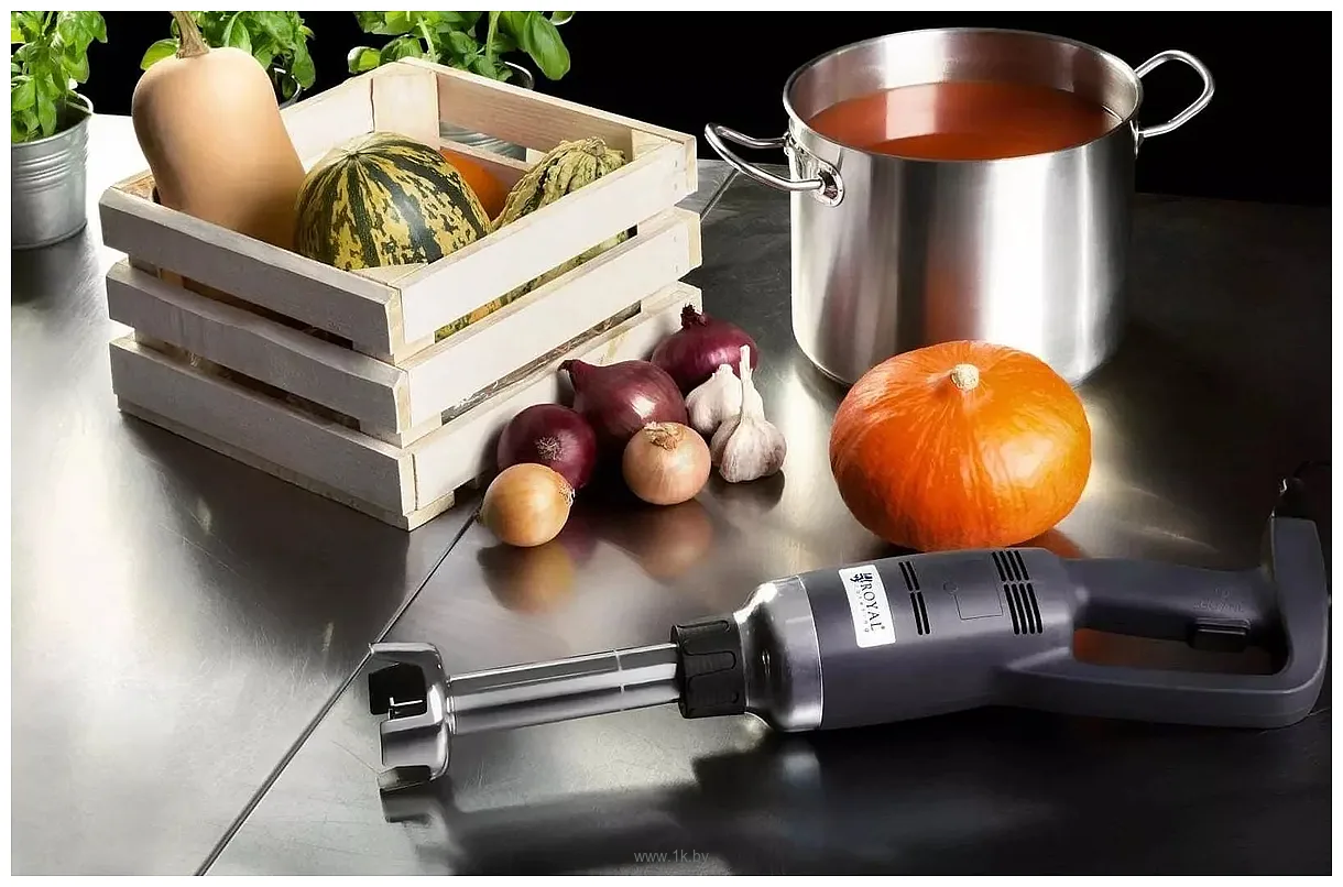 Фотографии Royal Catering RCSM-350-250