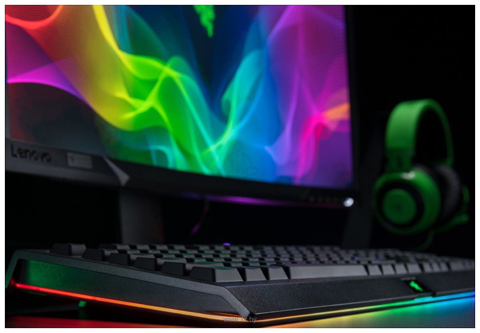 Фотографии Razer Cynosa v2 нет кириллицы