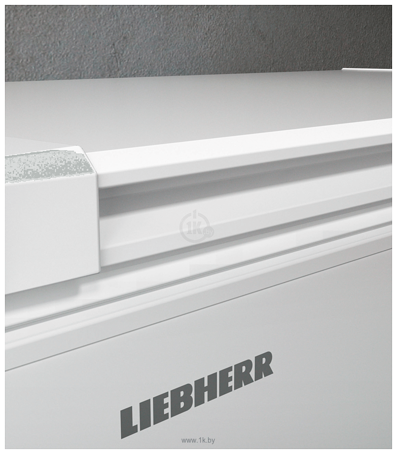 Фотографии Liebherr CFc 1875 Plus