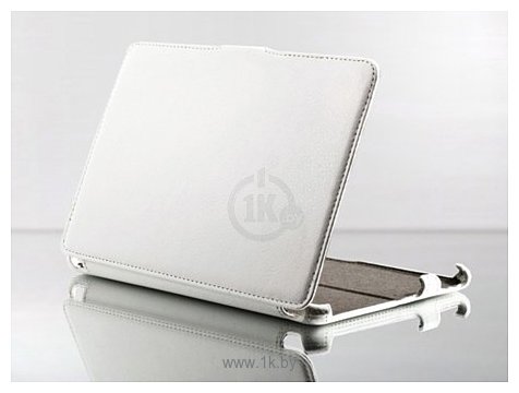 Фотографии iBox Premium для iPad mini