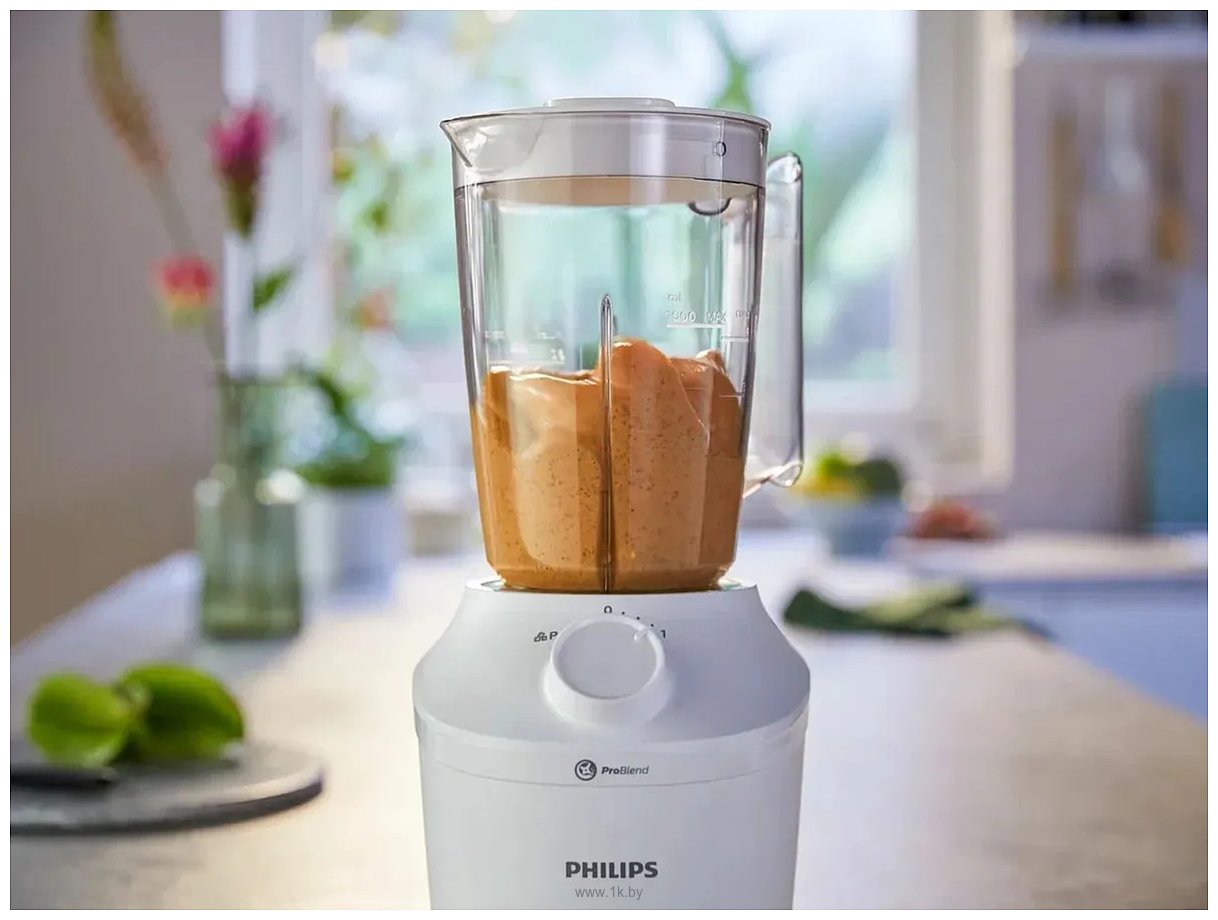 Фотографии Philips HR2041/00