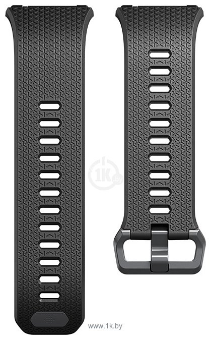 Фотографии Fitbit классический для Fitbit Ionic (S, черный/серый)
