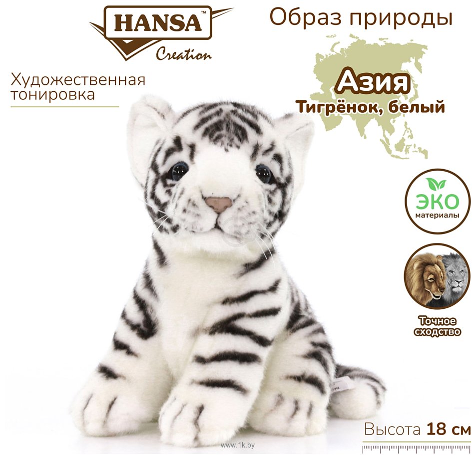 Фотографии Hansa Сreation Детеныш белого тигра 3420 (18 см)