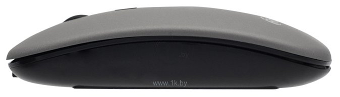 Фотографии Ritmix RMW-120 gray