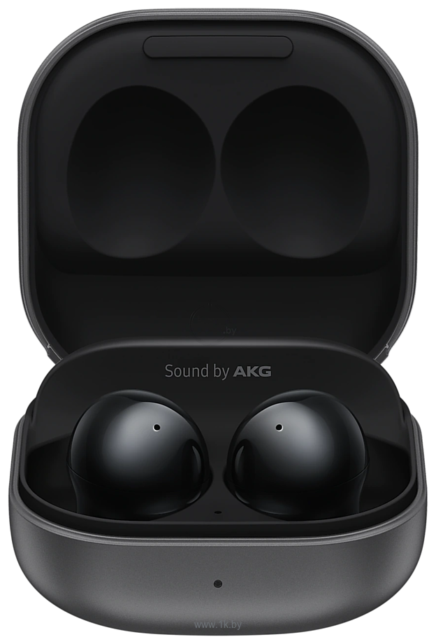 Фотографии Samsung Galaxy Buds 2 (черный оникс)