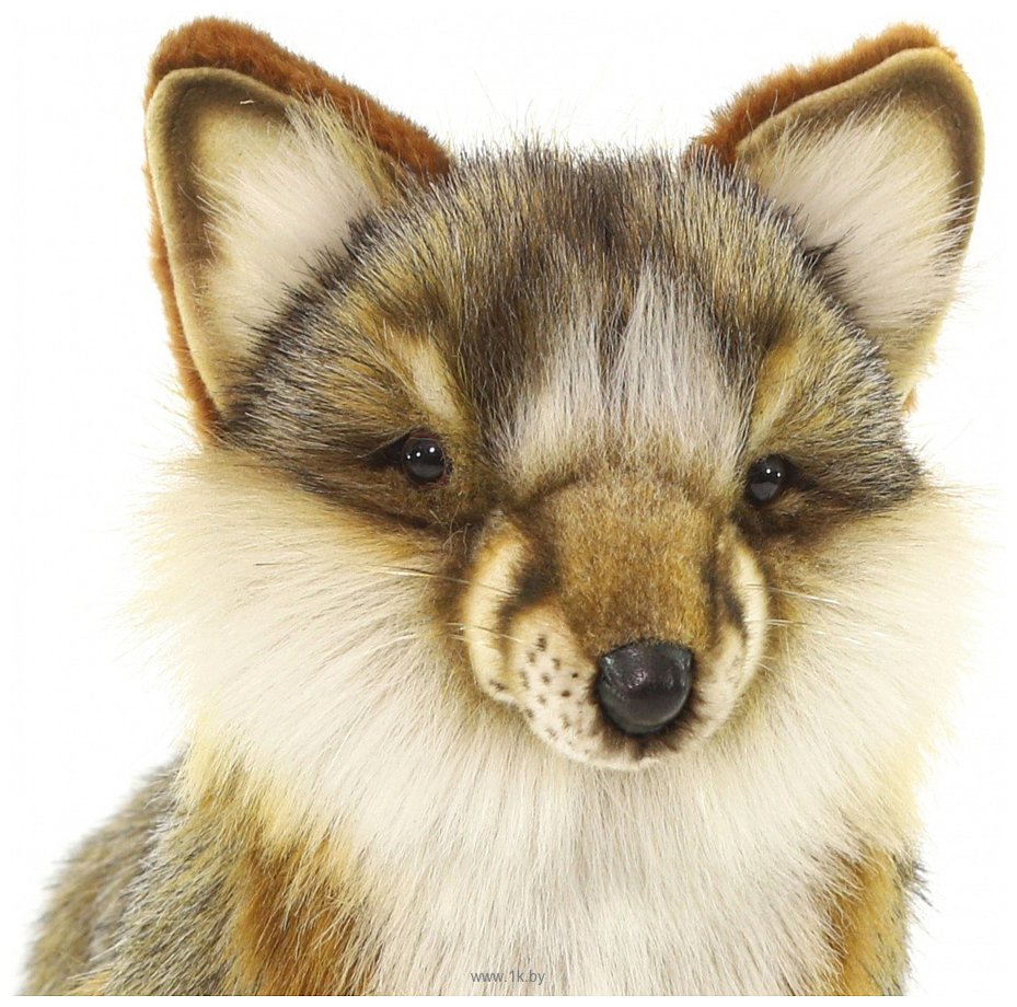 Фотографии Hansa Сreation Серая лисица стоящая 4700Л (40 см)