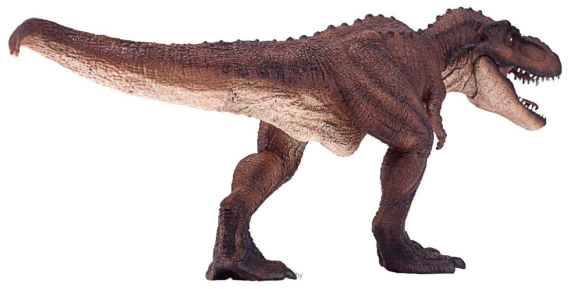 Фотографии Konik Тираннозавр с подвижной челюстью делюкс AMD4035