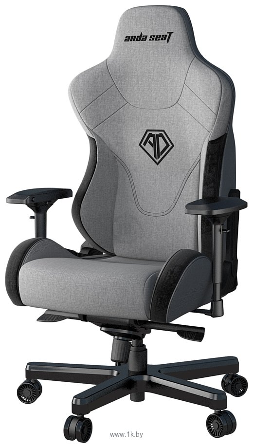 Фотографии AndaSeat T-Pro 2 (серый/черный)