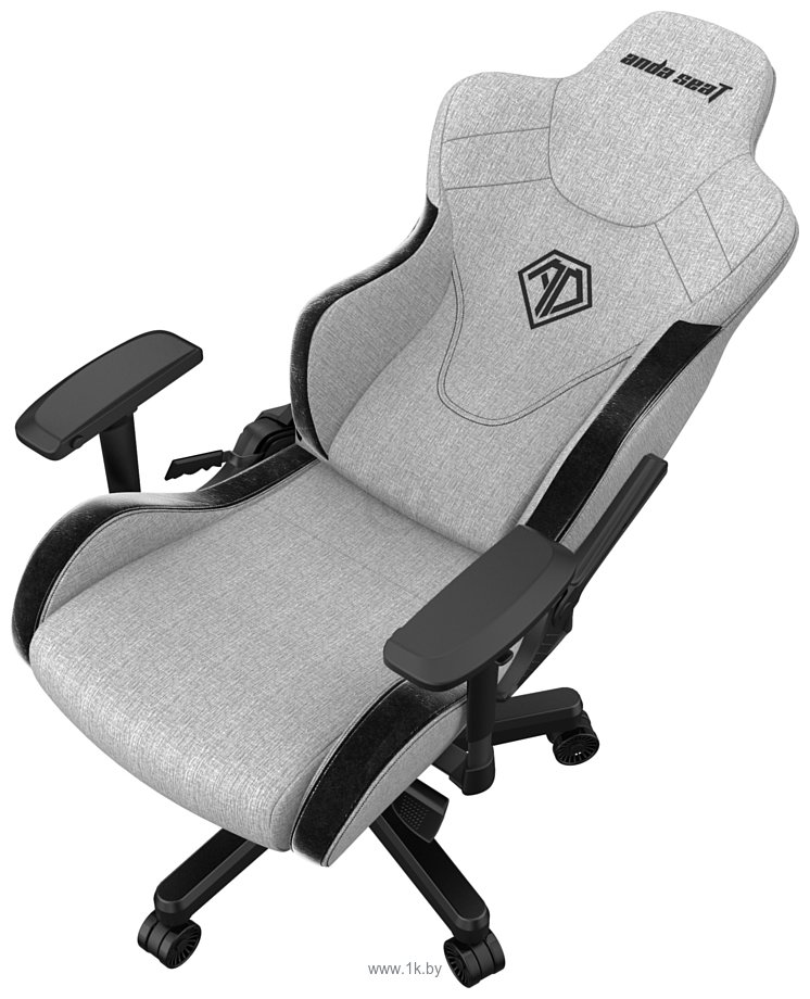 Фотографии AndaSeat T-Pro 2 (серый/черный)