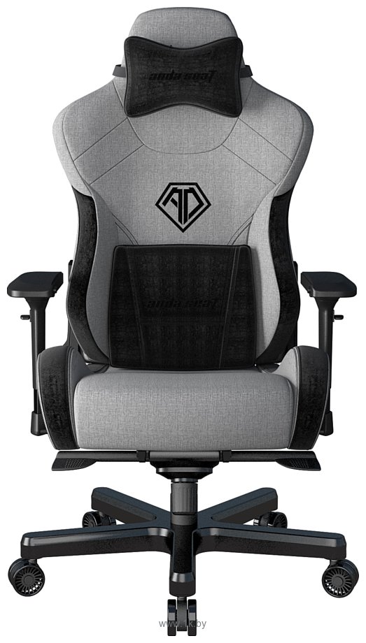 Фотографии AndaSeat T-Pro 2 (серый/черный)