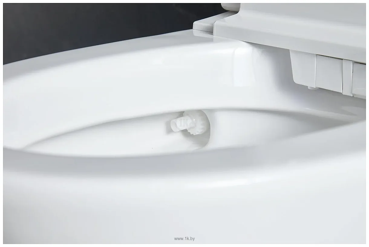 Фотографии Roxen Smart Simple 670310-02