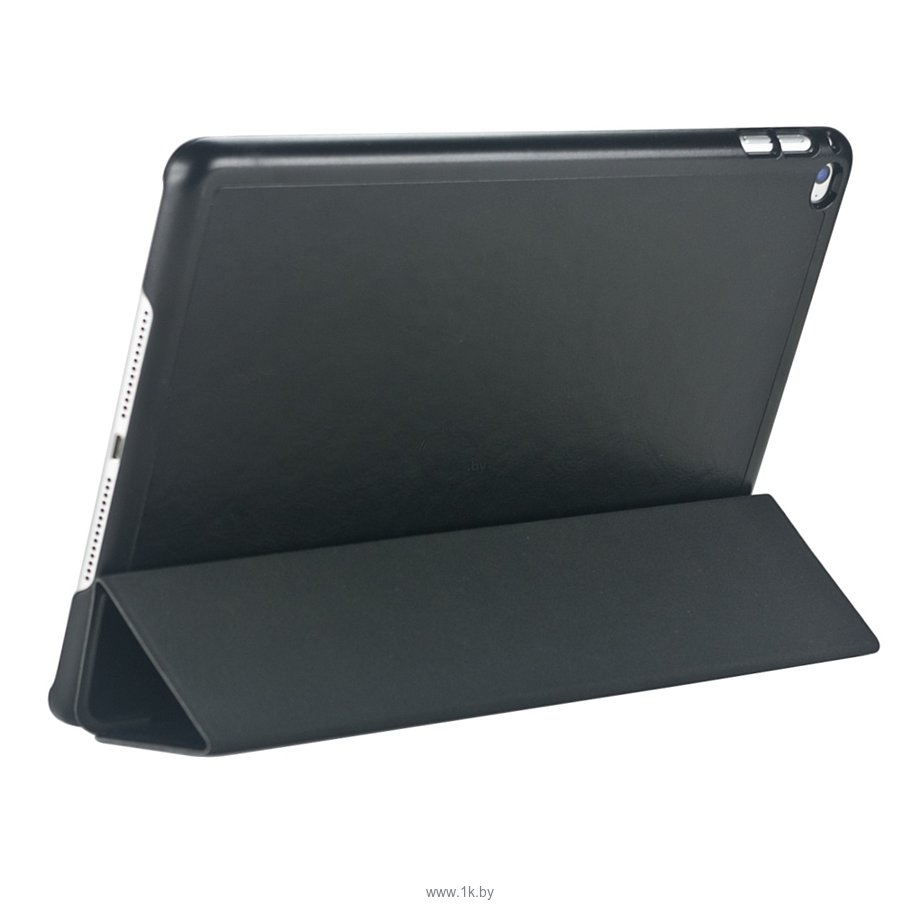 Фотографии IT Baggage для iPad Air 2 (ITIPA25-1)