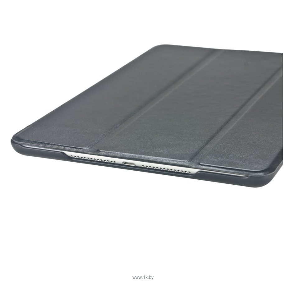 Фотографии IT Baggage для iPad Air 2 (ITIPA25-1)