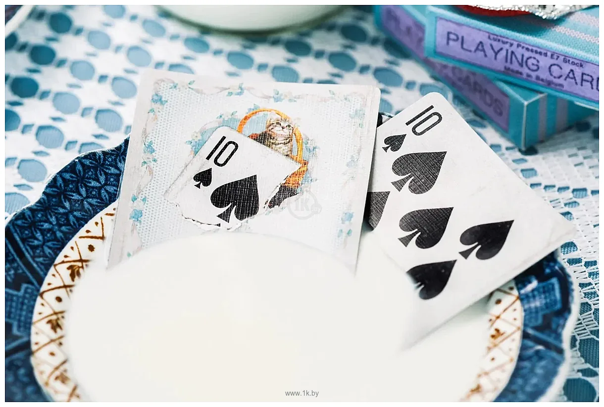 Фотографии Ellusionist Blue Kittens