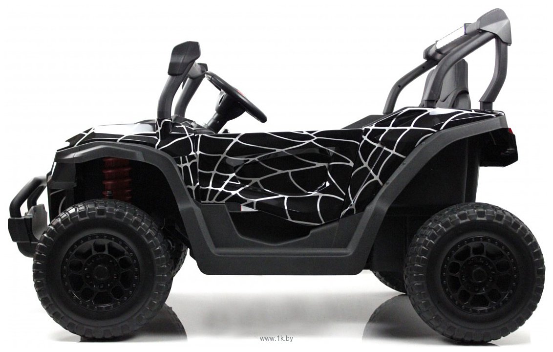 Фотографии RiverToys P333PP Buggy (черный Spider)