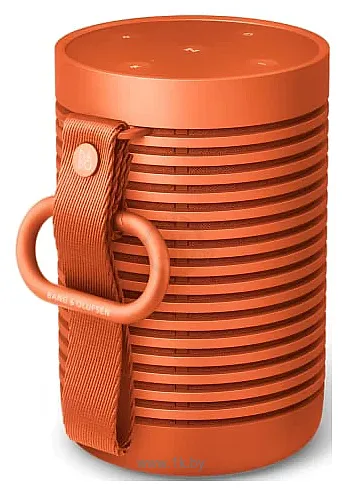 Фотографии Bang & Olufsen 1626037 BEO00123