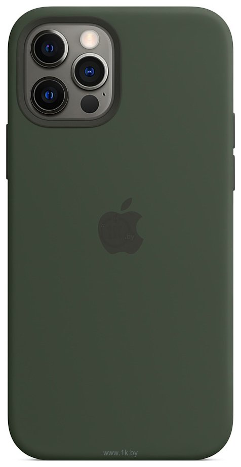 Фотографии Apple MagSafe Silicone Case для iPhone 12/12 Pro (кипрский зеленый)