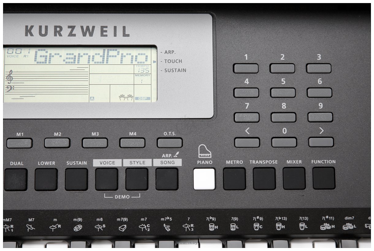 Фотографии Kurzweil KP90L