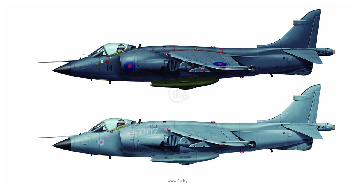 Фотографии Hasegawa Палубный истребитель-бомбардировщик Sea Harrier FRS MK1 (2 kits)