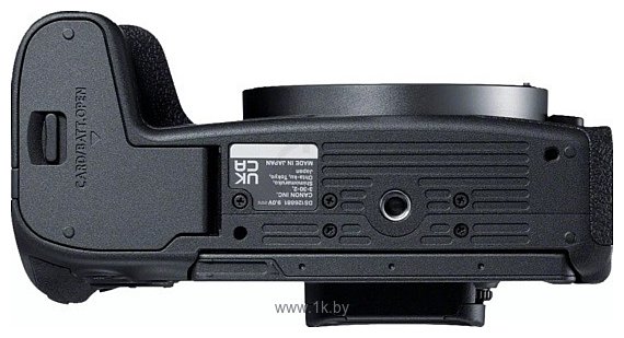 Фотографии Canon EOS R8 Kit  