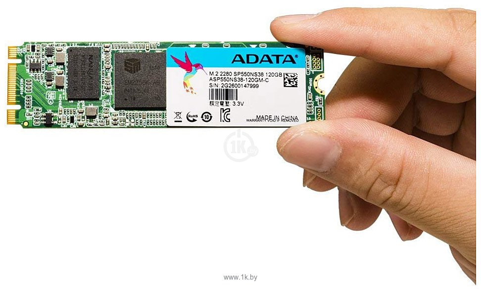 Фотографии ADATA Premier SP550 120GB (ASP550NS38-120GM-C)