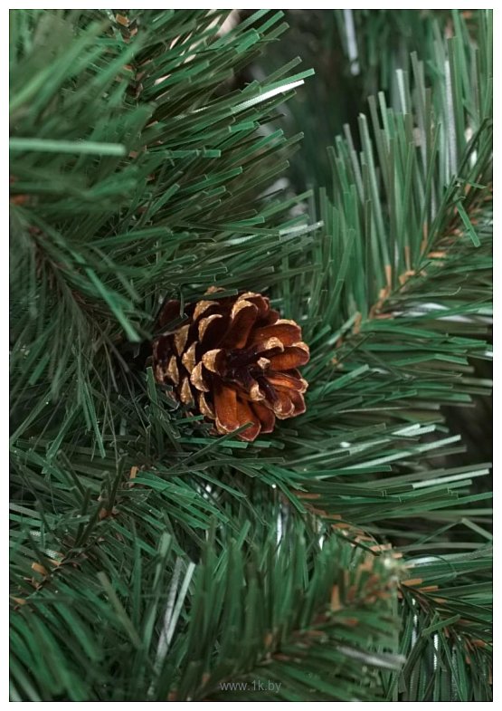 Фотографии Holiday Trees Беловежская Ш 1 м