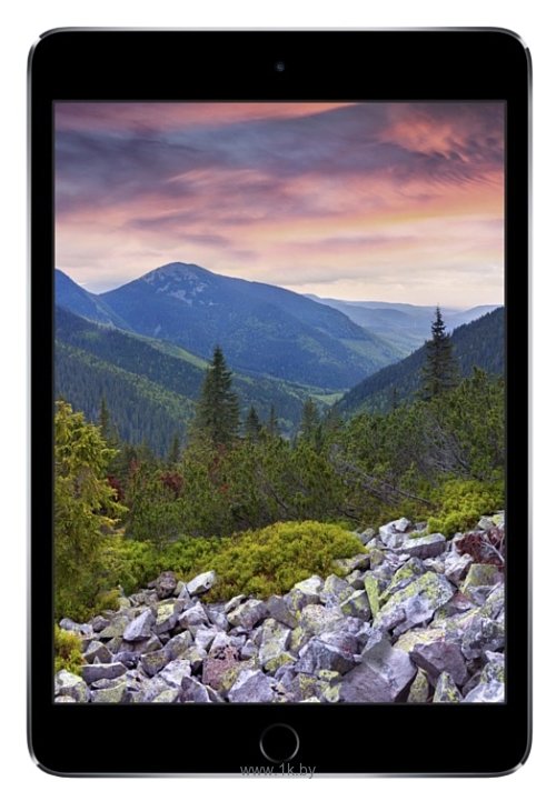 Фотографии Apple iPad mini 3 64Gb Wi-Fi + Cellular