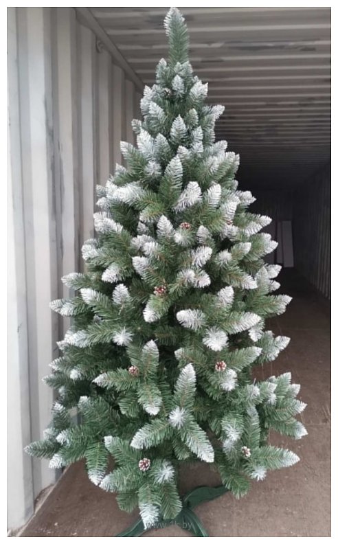 Фотографии Christmas Tree Таежная с белыми концами и с шишками 2.5 м