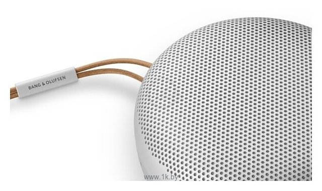 Фотографии Bang & Olufsen Beosound A1 2nd Gen