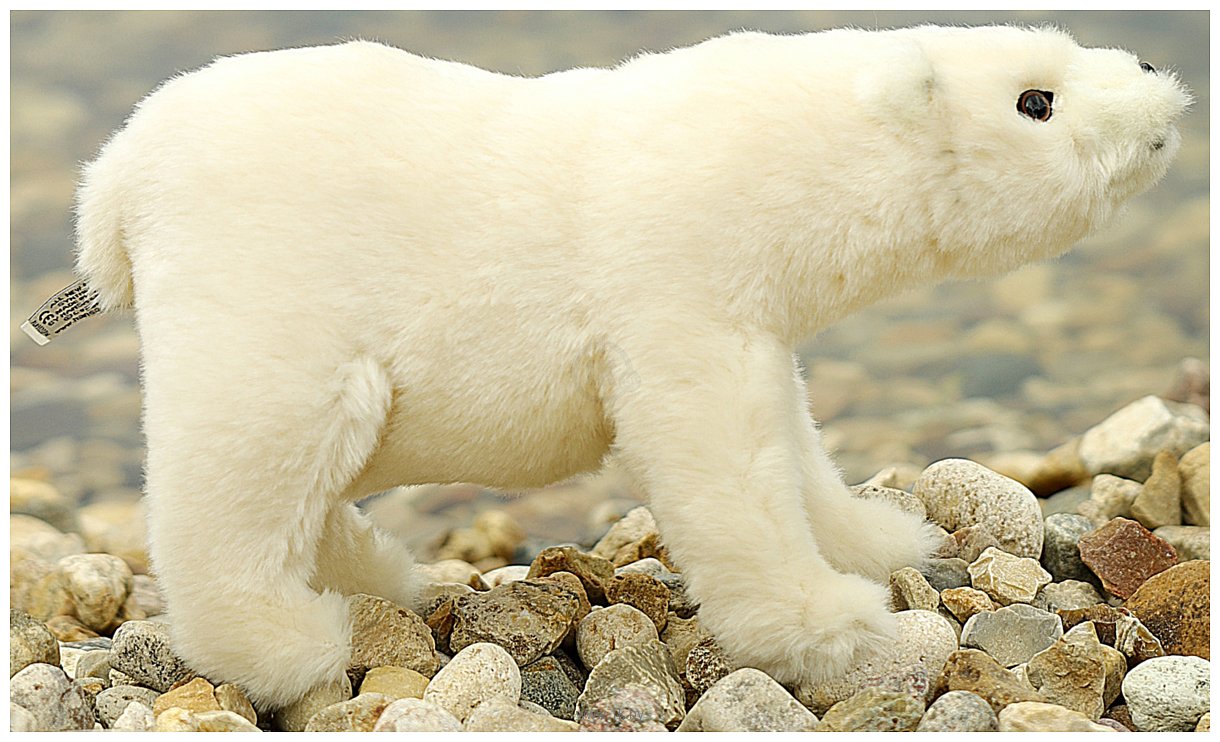 Фотографии Hansa Сreation Полярный медведь стоящий 7469 (30 см)