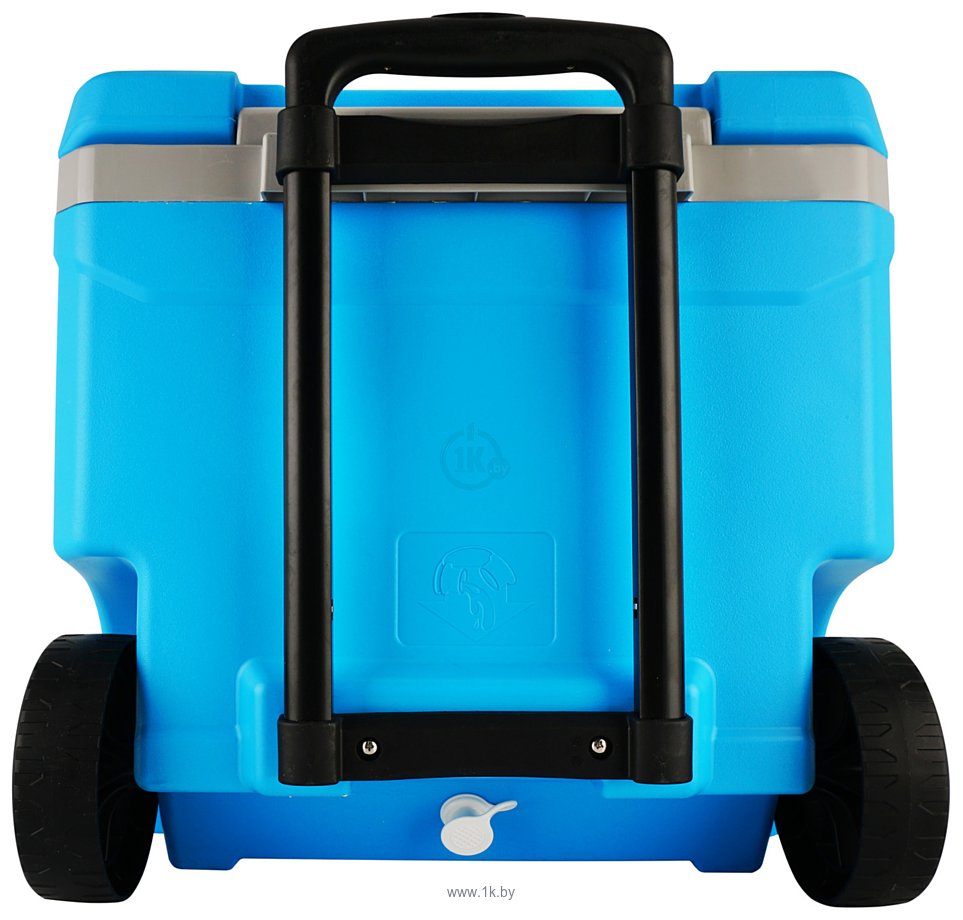 Фотографии Igloo Latitude Cooler 00034664 56л (голубой/серебристый)