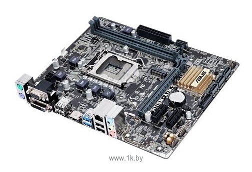 Фотографии ASUS H110M-A/M.2/CSM