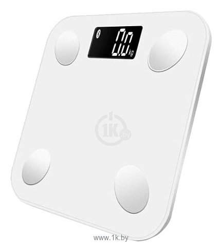 Фотографии MGB Body fat scale