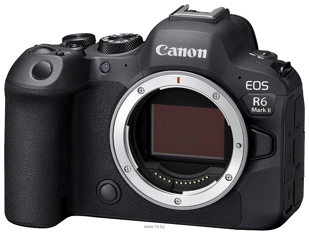 Фотографии Canon EOS R6 Mark II Body + адаптер крепления EF-EOS R