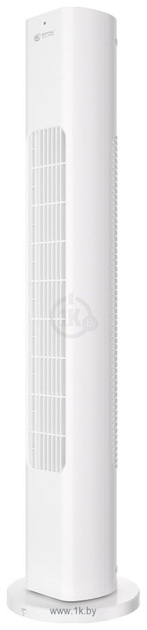 Фотографии Royal Clima RBF-801E-WT