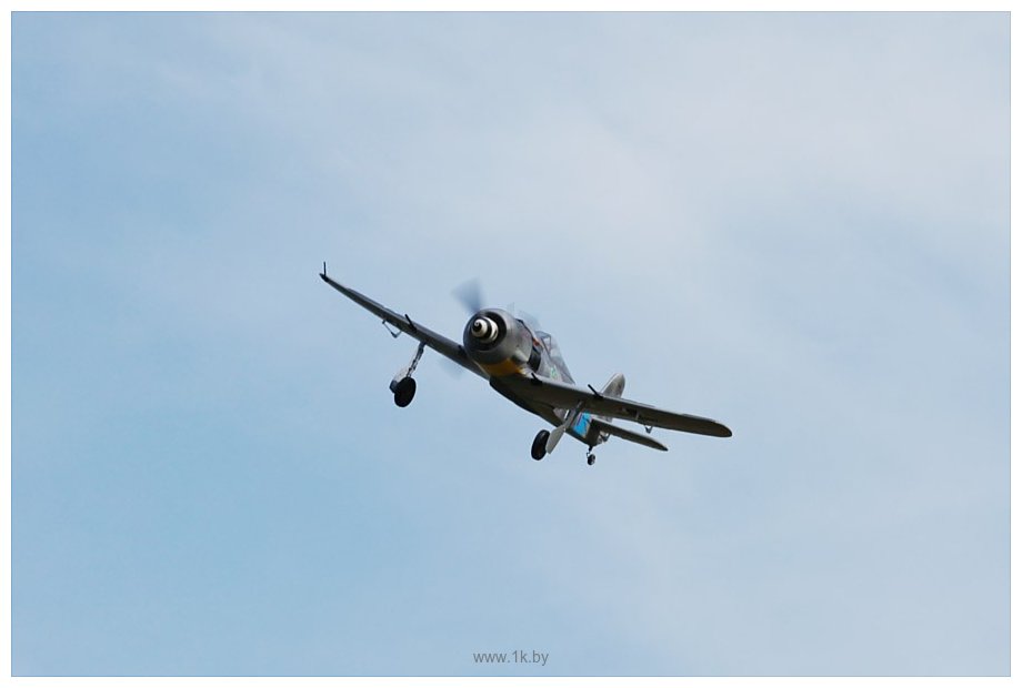 Фотографии FMS Focke-Wulf 190 (FMS047P)