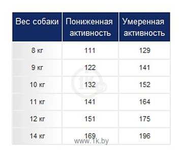 Сколько раз кормить французского бульдога