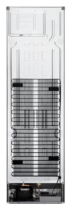 Фотографии LG DoorCooling+ GA-B509CAZL