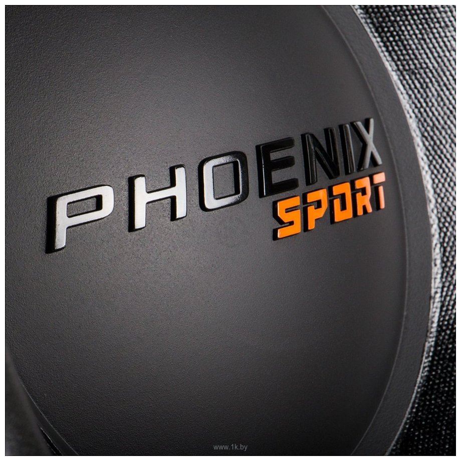 Фотографии DL Audio Phoenix Sport 15