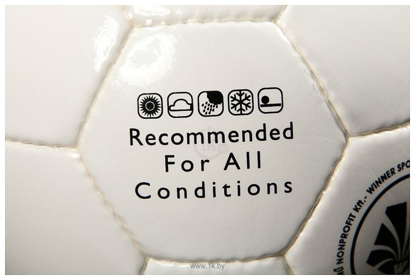 Фотографии Winnersport Brilliant Fifa Approved (5 размер)