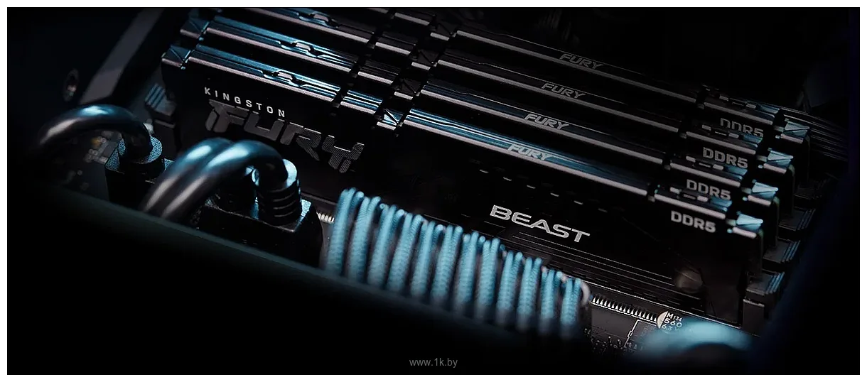 Фотографии Kingston FURY Beast KF552C40BB2-32