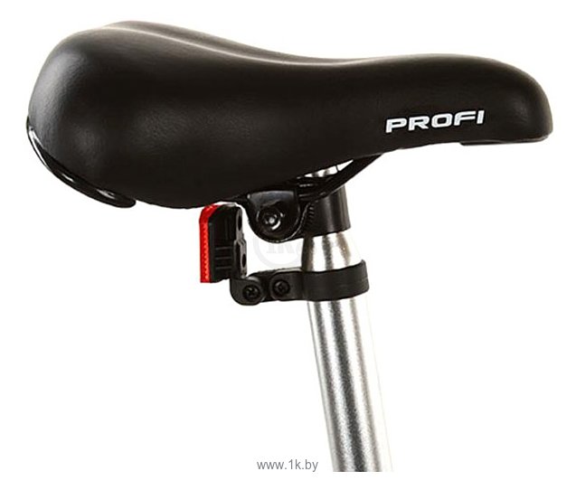 Фотографии Profi Trike 20F-1