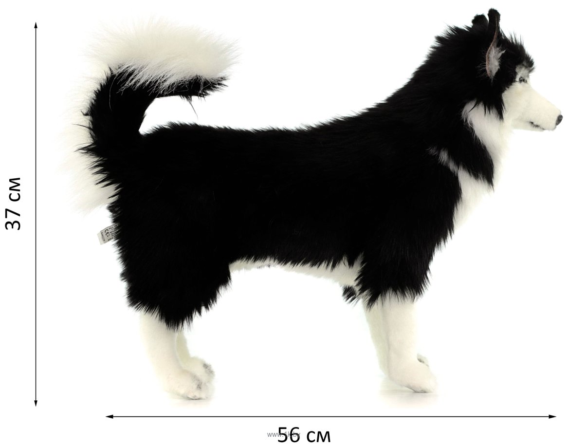 Фотографии Hansa Сreation Собака сибирский хаски 6495 (56 см, черный/белый)
