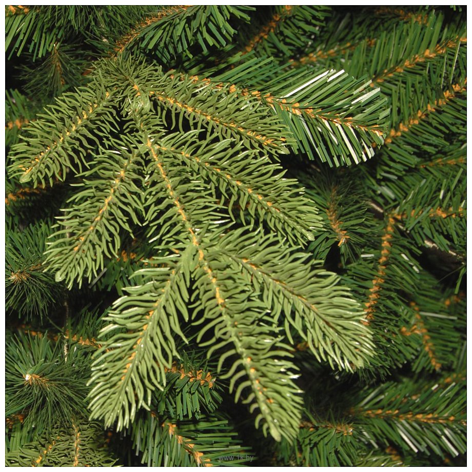 Фотографии National Tree Company Norwegian Spruce 2.25 м (PENG4-500-75)