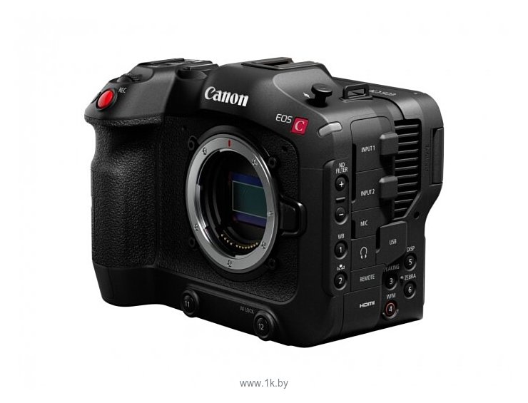 Фотографии Canon EOS C70