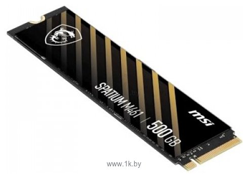 Фотографии MSI Spatium M461 500GB S78-440K260-P83