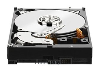 Фотографии Western Digital Black 4 TB (WD4005FZBX)